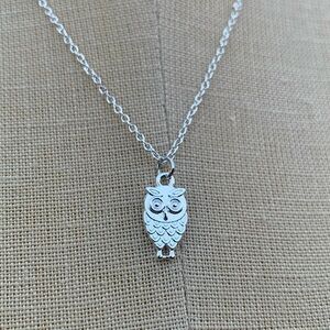 NWT Sterling Silver Plated Chain & Alloy Owl Charm Necklace
